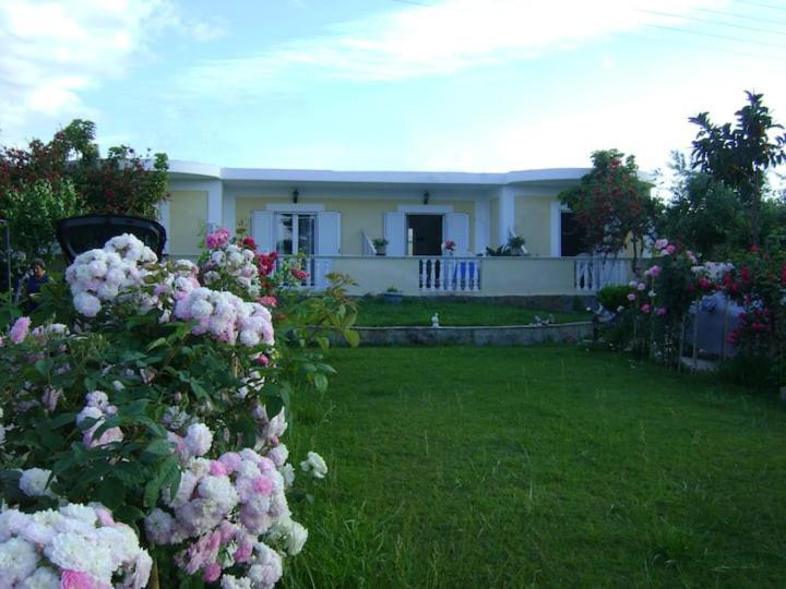 Zante Summer Retreats - Marietta'S Apartment2 Drosia Kypseli Bagian luar foto